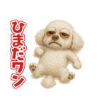 キモブサカワ12(トイプードル)（個別スタンプ：25）