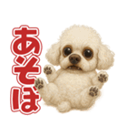 キモブサカワ12(トイプードル)（個別スタンプ：26）
