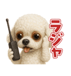 キモブサカワ12(トイプードル)（個別スタンプ：39）