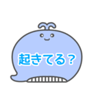 NEWくじらくん吹き出し白枠文字家族用001（個別スタンプ：8）