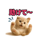 子猫verスコティッシュフォールド2（個別スタンプ：3）