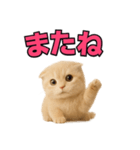 子猫verスコティッシュフォールド2（個別スタンプ：28）