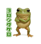 キモブサカワ13(イエアメガエル)（個別スタンプ：6）
