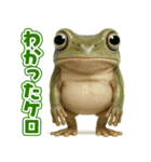 キモブサカワ13(イエアメガエル)（個別スタンプ：7）
