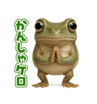 キモブサカワ13(イエアメガエル)（個別スタンプ：9）