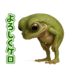 キモブサカワ13(イエアメガエル)（個別スタンプ：13）