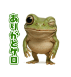 キモブサカワ13(イエアメガエル)（個別スタンプ：27）
