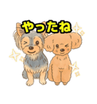 ダイズ＆アズキ（個別スタンプ：9）