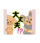 ダイズ＆アズキ（個別スタンプ：18）