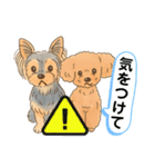ダイズ＆アズキ（個別スタンプ：31）