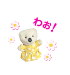 しろくまのぬいぐるみ「しろちゃん」-夏-（個別スタンプ：21）