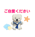 しろくまのぬいぐるみ「しろちゃん」-夏-（個別スタンプ：40）