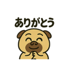 ブサカワ犬パグぞうの感情大爆発！（個別スタンプ：24）