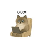 AI依存のねこちゃん（個別スタンプ：21）