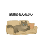 AI依存のねこちゃん（個別スタンプ：34）