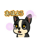 イヌとオンナ～ボストンテリア～（個別スタンプ：4）