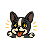 イヌとオンナ～ボストンテリア～（個別スタンプ：19）