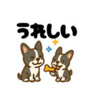 イヌとオンナ～ボストンテリア～（個別スタンプ：25）