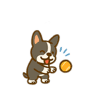 イヌとオンナ～ボストンテリア～（個別スタンプ：34）
