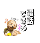 おこげとちょこび（個別スタンプ：10）