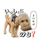 おこげとちょこび（個別スタンプ：20）