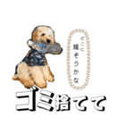 おこげとちょこび（個別スタンプ：25）
