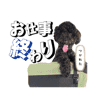 おこげとちょこび（個別スタンプ：30）
