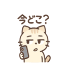 シブにゃんのジト目日常スタンプ（個別スタンプ：24）