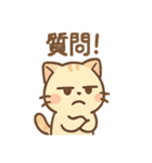 シブにゃんのジト目日常スタンプ（個別スタンプ：35）