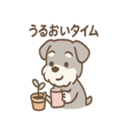 癒しのリラシュナのおつかれケアスタンプ（個別スタンプ：30）