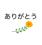 大きく見やすい文字✨シンプル言葉スタンプ（個別スタンプ：20）