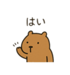 ダルカピパラ 日本語（個別スタンプ：1）