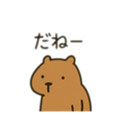 ダルカピパラ 日本語（個別スタンプ：2）