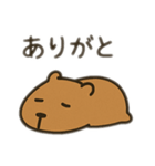 ダルカピパラ 日本語（個別スタンプ：3）