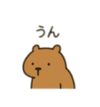 ダルカピパラ 日本語（個別スタンプ：4）