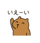 ダルカピパラ 日本語（個別スタンプ：5）