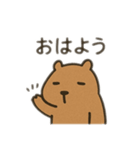 ダルカピパラ 日本語（個別スタンプ：7）
