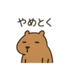 ダルカピパラ 日本語（個別スタンプ：9）