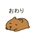 ダルカピパラ 日本語（個別スタンプ：11）