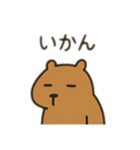 ダルカピパラ 日本語（個別スタンプ：13）