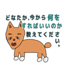 トッキー祭り！スタンプ（個別スタンプ：10）