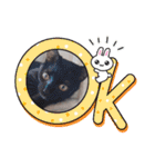 愛猫の日常スタンプ.2（個別スタンプ：4）