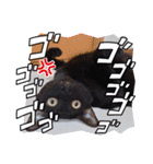 愛猫の日常スタンプ.2（個別スタンプ：20）
