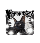 愛猫の日常スタンプ.2（個別スタンプ：21）