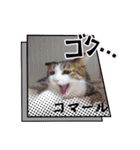 愛猫の日常スタンプ.2（個別スタンプ：24）