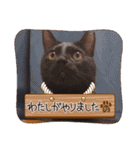 愛猫の日常スタンプ.2（個別スタンプ：31）