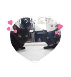 愛猫の日常スタンプ.2（個別スタンプ：38）