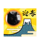 愛猫の日常スタンプ.2（個別スタンプ：40）
