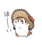ゆるうさ達の夏のスタンプ（個別スタンプ：9）