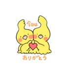 オカメインコのお気遣いスタンプ（個別スタンプ：1）